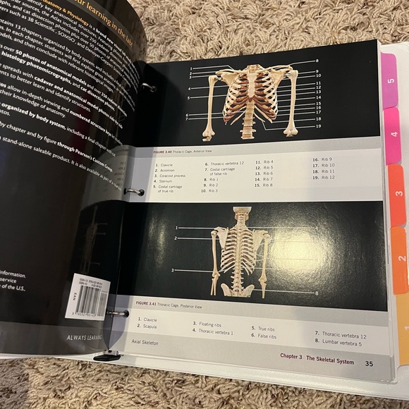 Anatomy and physiology lab textbook - Picture 3 of 4